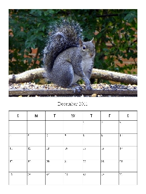 Picture link to December 2011 PDF Calendar page